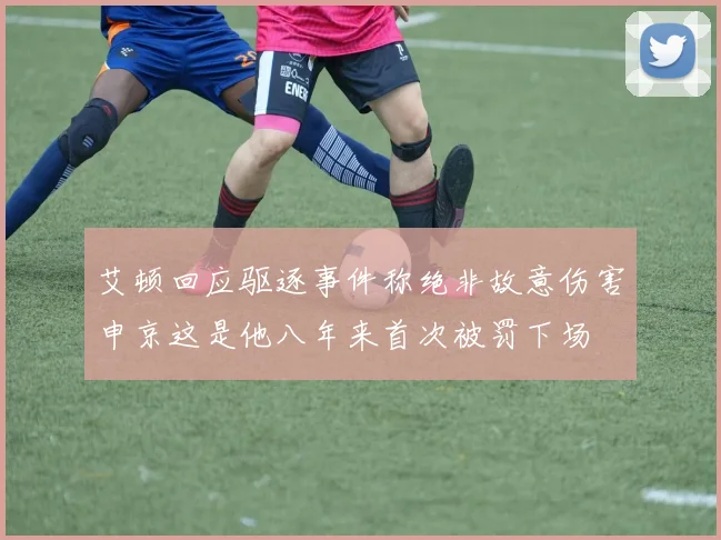 艾顿回应驱逐事件称绝非故意伤害申京这是他八年来首次被罚下场